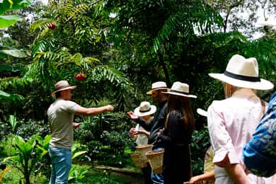 De Bogotá: Fazenda de café e passeio pelas Cataratas de Tequendama