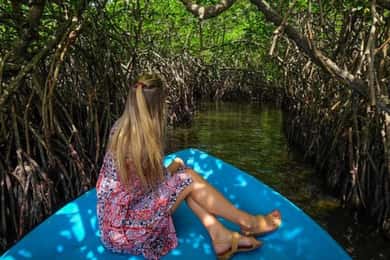 Exclusieve Madu Rivier Safari & Schildpaddenboerderij Tour vanuit Colombo