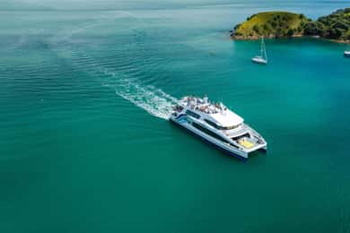 Auckland: One-Way Ferry Ticket to Waiheke Island