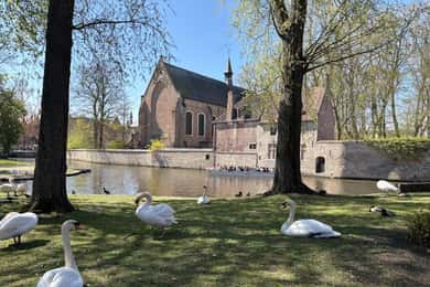 Brujas: lo más destacado y las joyas ocultas - visita privada 2 horas
