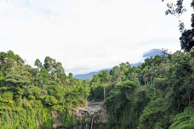 4 dagen roadtrip Oost-Java. Bromo, Ijen