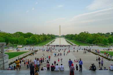 De Nova York ou Nova Jersey: Viagem de 1 dia a Washington, D.C.