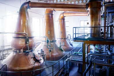 Segovia: DYC Distillery guided visit with whiskey tasting