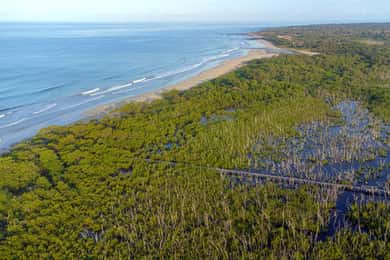 Passeggiata privata nella fauna selvatica di Avellanas