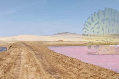Paracas:Passeios Privados Reserva Nacional de Paracas tudo incluído