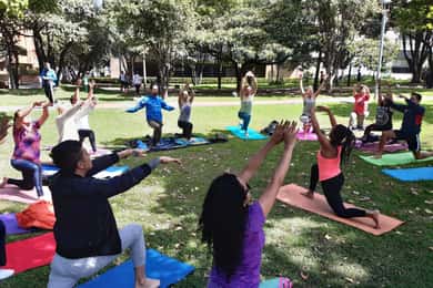 Bogotá: Yoga in the Park & Brunch
