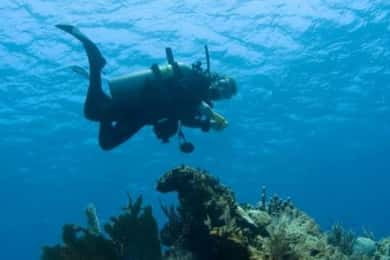 Puerto Vallarta: Scuba Dive at Los Arcos