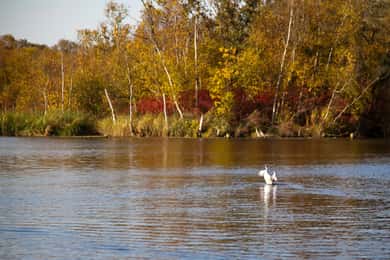 Aalsmeer: Traditionelle holländische Kahn-See-Kreuzfahrt