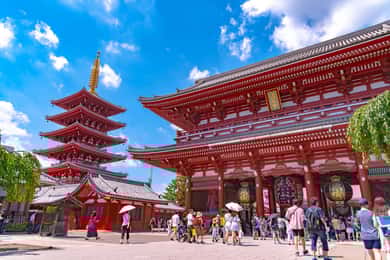 Tour privado por Tokio con conductor de habla inglesa