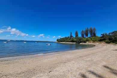 Auckland: Motuihe Island Ferry Ticket