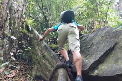 From Phuket: Guided Rainforest Hike with Lunch