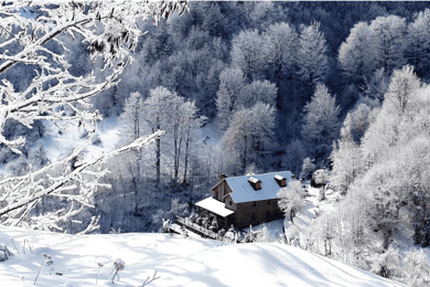 Von Tirana/Durrës Tagestour Pogradec, Korça & Dardha SKIING