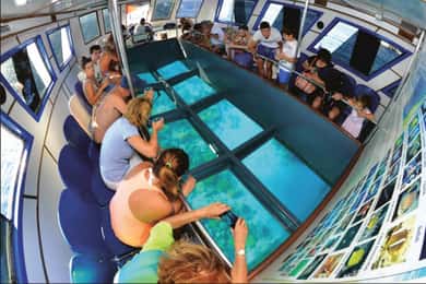 Glasbåt & snorkling med dagskort till Berenice Beach Club