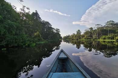 Javari Expedition