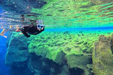 Silfra: Excursión de snorkel por las fisuras con fotos submarinas