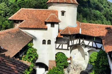 Sibiu: Dracula's Castle and Dino Park Day Trip
