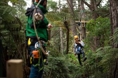 Coromandel: Wycieczka z przewodnikiem Zipline Tour Experience