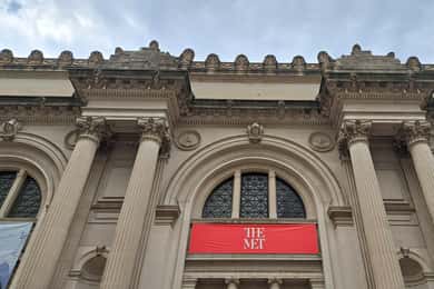 Guided visit to the MET: 2-hour tour in Spanish