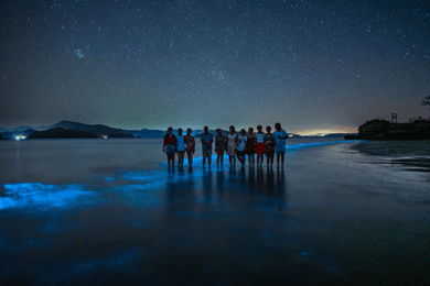 Bioluminescens-tur; motorbåt, camping (från San José)