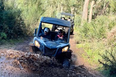 Madeira: Half-Day Off-Road Buggy Tour
