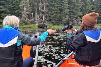 Algonquin Park Day Tour: Canoeing Adventure with Lunch