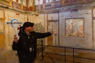 Au départ de Naples : visite privée de Pompéi avec transfert et guide