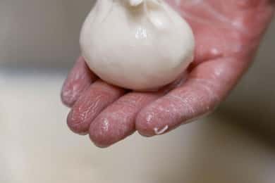 Apulië: Masseria Seppunisi Tour, Kaas, Burrata proeverij