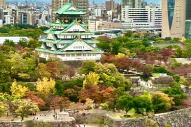 Osaka: Zažijte úchvatné podzimní listí v plných barvách!