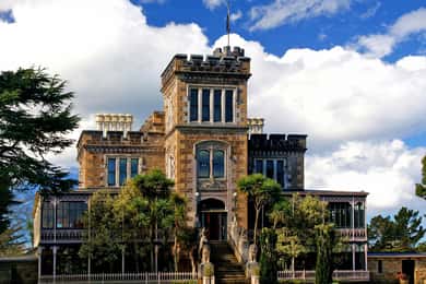 From Port Chalmers: Castle, Coast & City Tour