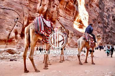 From Amman: Petra, Wadi Rum, and Dead Sea 2-day private tour