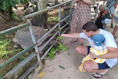Seychelles : Visite des lieux emblématiques de l'île