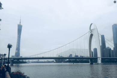 Guangzhou : visite privée de la ville avec déjeuner dim sum