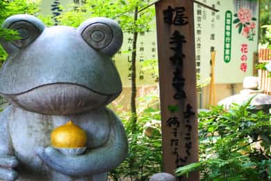 Fukuoka: Beppu Hells HotSpring, Frog Temple & Yufuin DayTrip