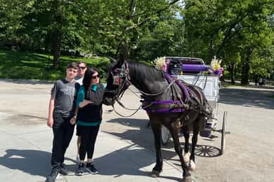 NYC: Private Central Park and NYC City Tour