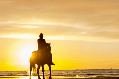 Cartagena: Horseback Riding on the Beach at Sunset