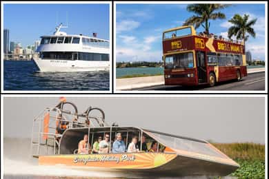 Best of Miami: Everglades, Bay Cruise, and Open-top Bus Tour