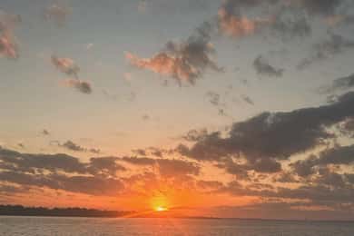 Fort Walton: Sunset Dolphin Cruise on the Emerald Coast