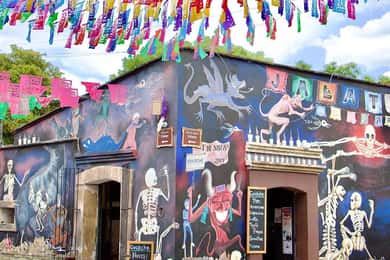 Oaxaca and its colors: Walking City Tour