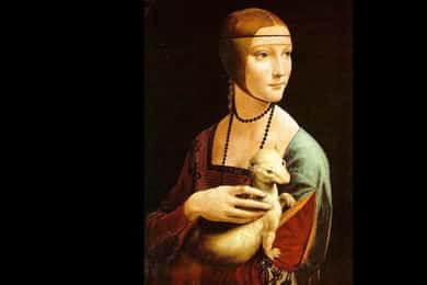 Museo Czartoryski: Visita in italiano e salta la fila.