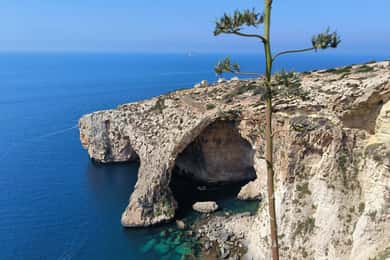 Cruise ships malta half day customised excursions