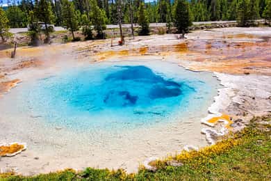 From Bozeman: Yellowstone Day Tour (Lower Loop)