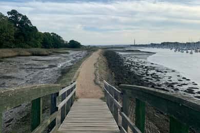 Transporte do porto de cruzeiros de Southampton para Londres com excursão