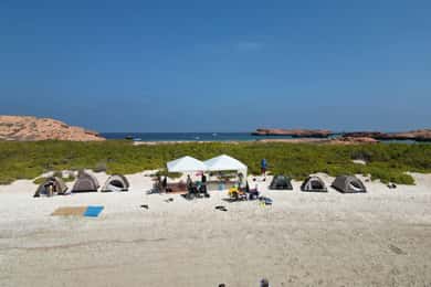 Campeggio alle isole Daymaniyat con pernottamento