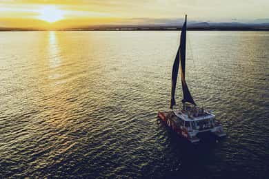 La Grande Motte: Paseo en catamarán por la Camarga al atardecer con una copa
