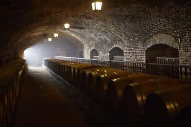 Passeio noturno pelo Casillero del Diablo com jantar na Concha y Toro