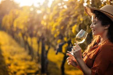 Medoc und Libournais (linkes und rechtes Ufer)