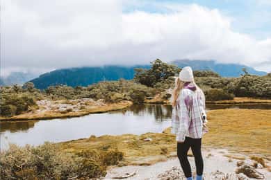 Fiordland: Routeburn Track and Key Summit Guided Day Walk