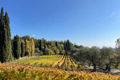 Nizza: Ganztagestour Côtes de Provence Wein