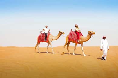 Dubai: Desert Camel Ride élő műsorokkal és svédasztalos grillvacsorával