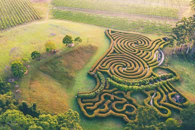 Herons Creek: Bago Maze Entry Ticket